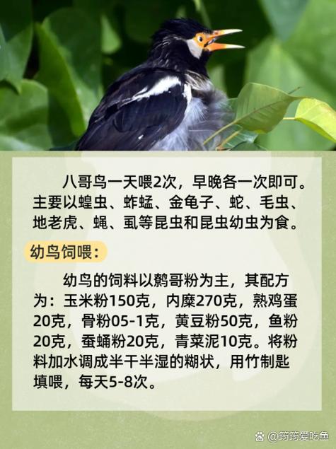 亚洲少妇玖玖一二三区综合爱的相关介绍