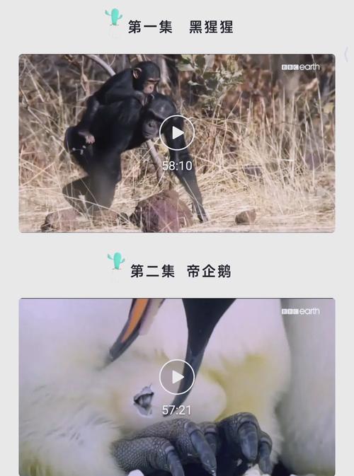 日本道欧美一区二区aaaa的相关介绍