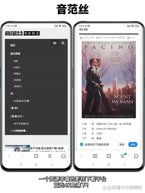 18禁精品网站在线的相关介绍