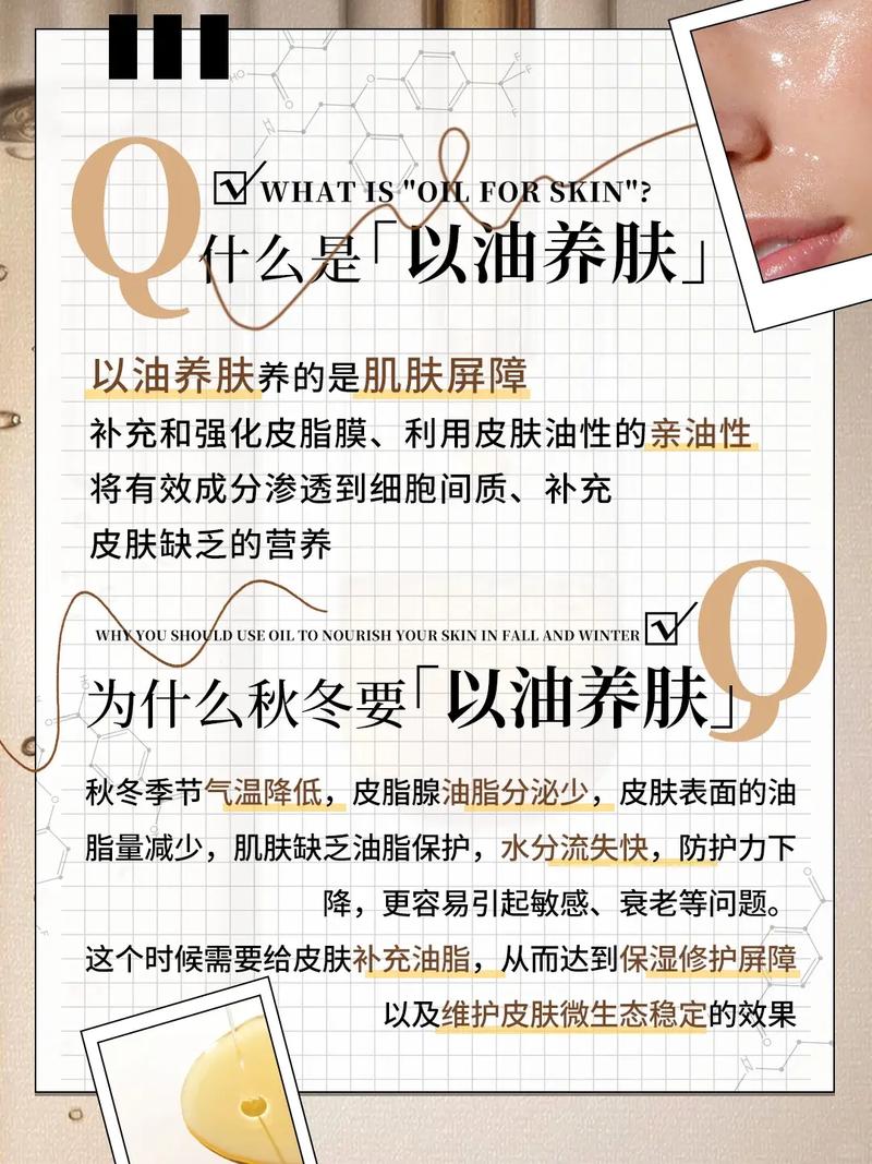 大地免费视频影院的相关介绍