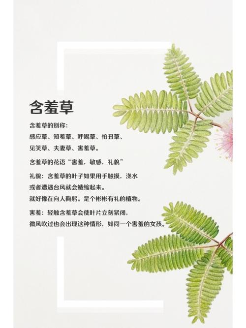 久久激情国产精品的相关介绍