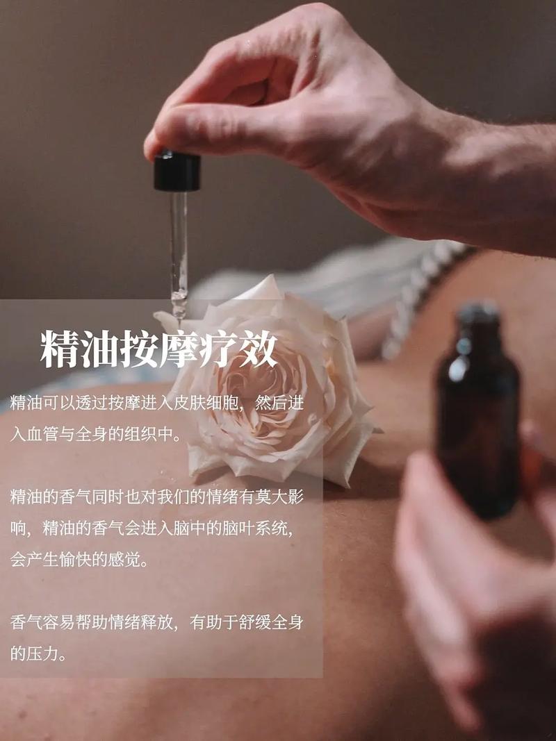 意大利伦理片完整版的相关介绍