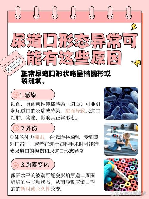 色噜噜噜噜私人影院免费的相关介绍