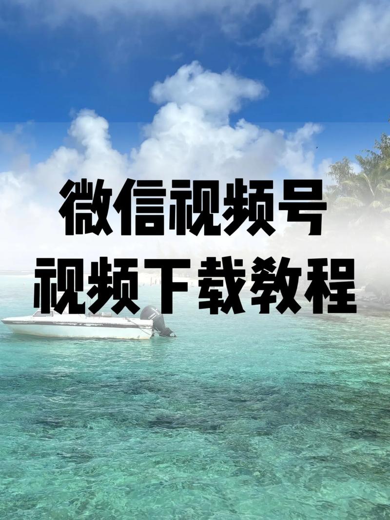 日韩欧美麻豆不卡一区二区的相关介绍