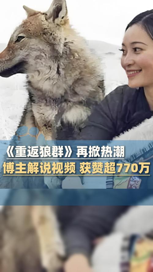 电影院私人的相关介绍