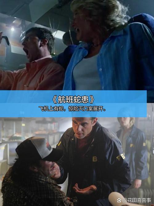 色悠悠天天色的相关介绍