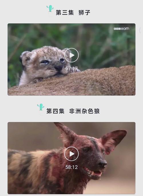 黄色录像日本女人的相关介绍