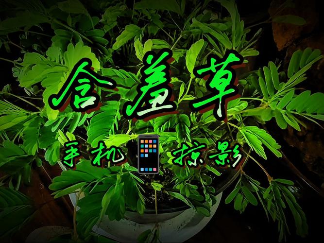 酷玩影院的相关介绍