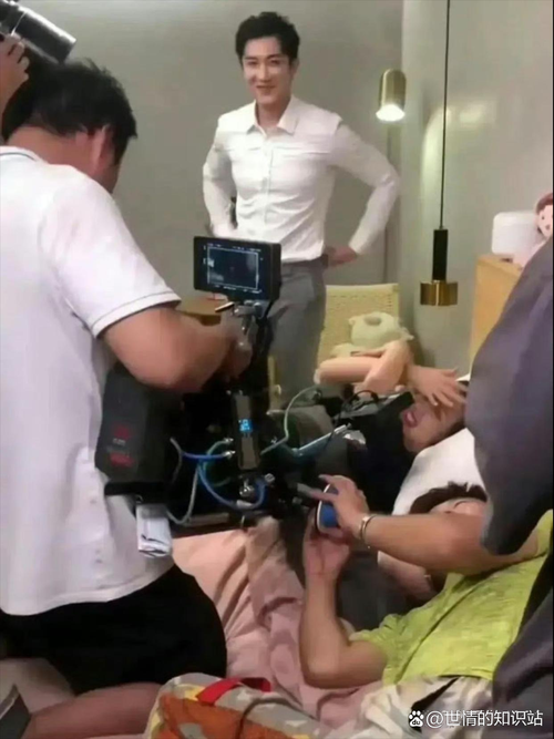 端庄人妻小说的相关介绍