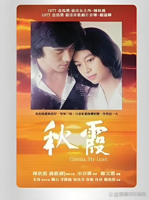 人妻有码区的相关介绍