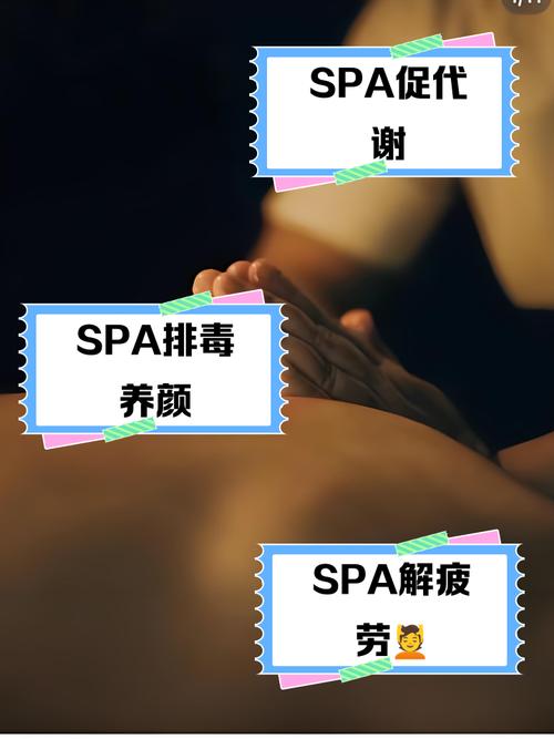 国产一区二区在线激情欧美的相关介绍