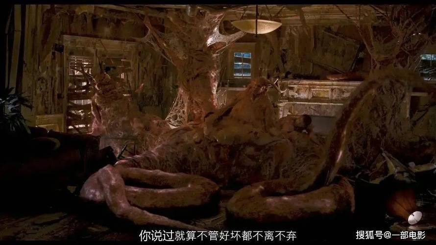 看视频免费下载的app的相关介绍