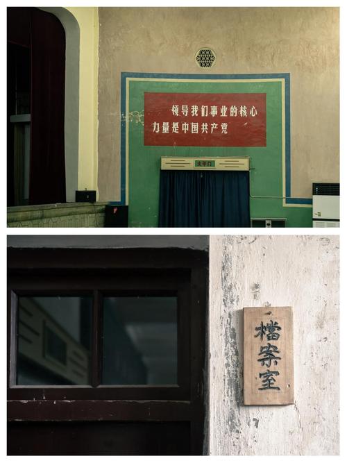 神马影院我不卡我看的相关介绍