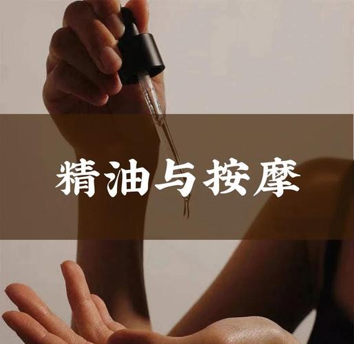 非毛片在线播放的相关介绍