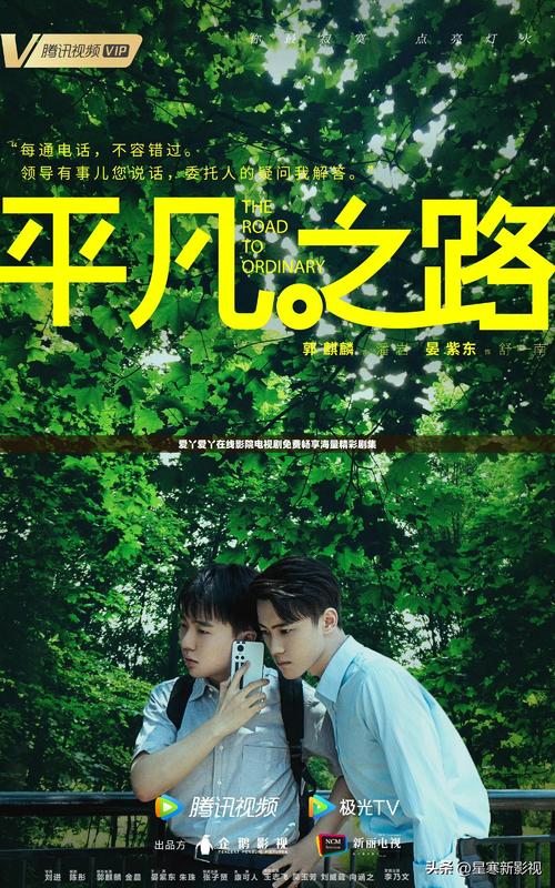 大桥未久大尺度写真集的相关介绍
