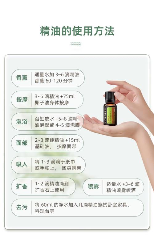 家庭影院推荐的相关介绍