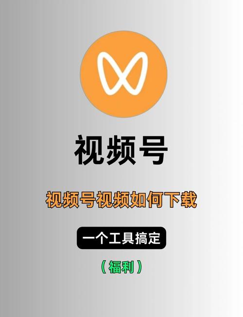新泰数字电影院的相关介绍
