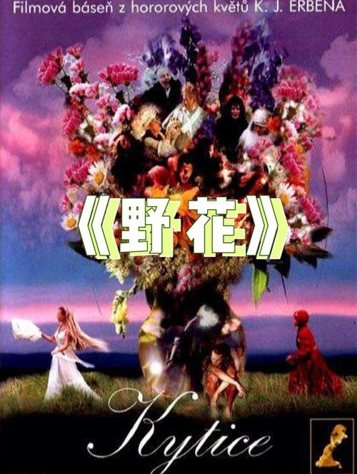 啪啪啪av啪啪啪的相关介绍