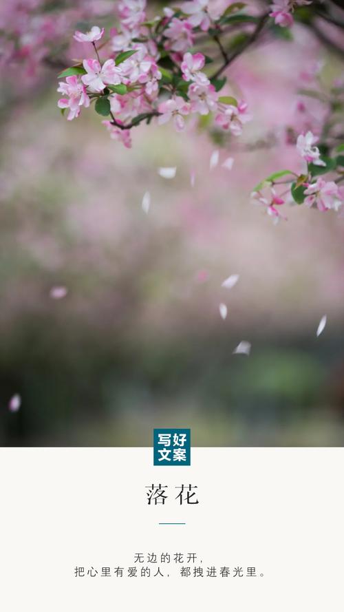 av 色悠悠的相关介绍