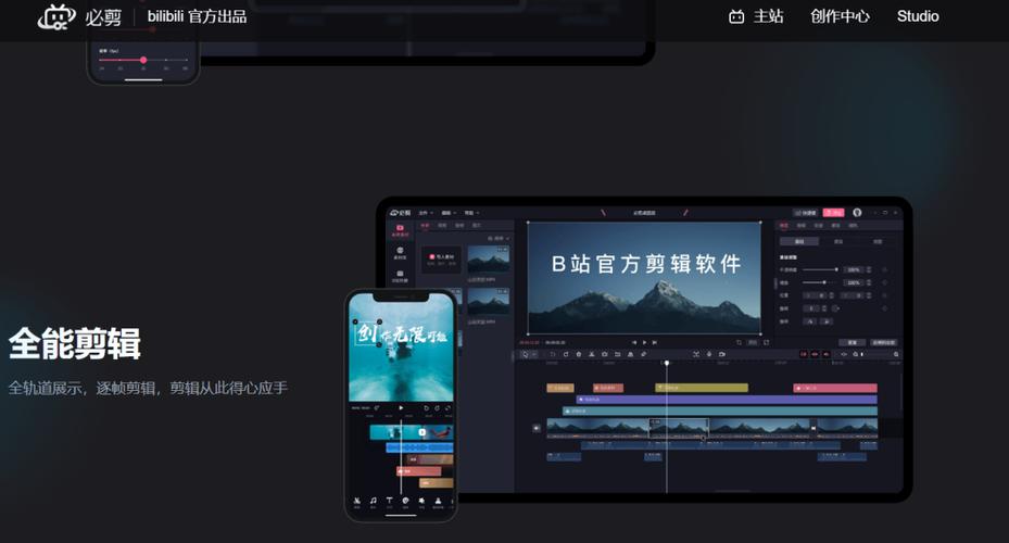 隔壁老王毛片的相关介绍