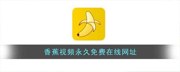 在线黑丝av的相关介绍