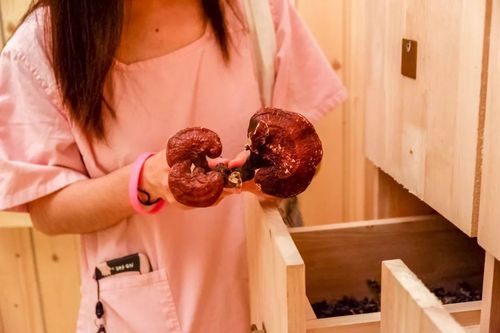 女生尿道分泌黄色分泌物的相关介绍
