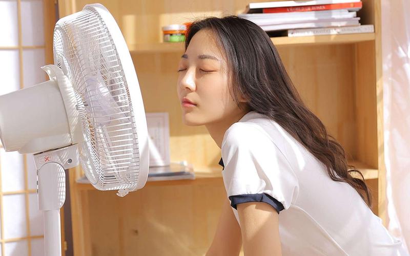 伦埋琪琪电影院久久的相关介绍