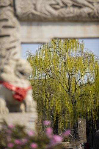 杭州电影院的相关介绍