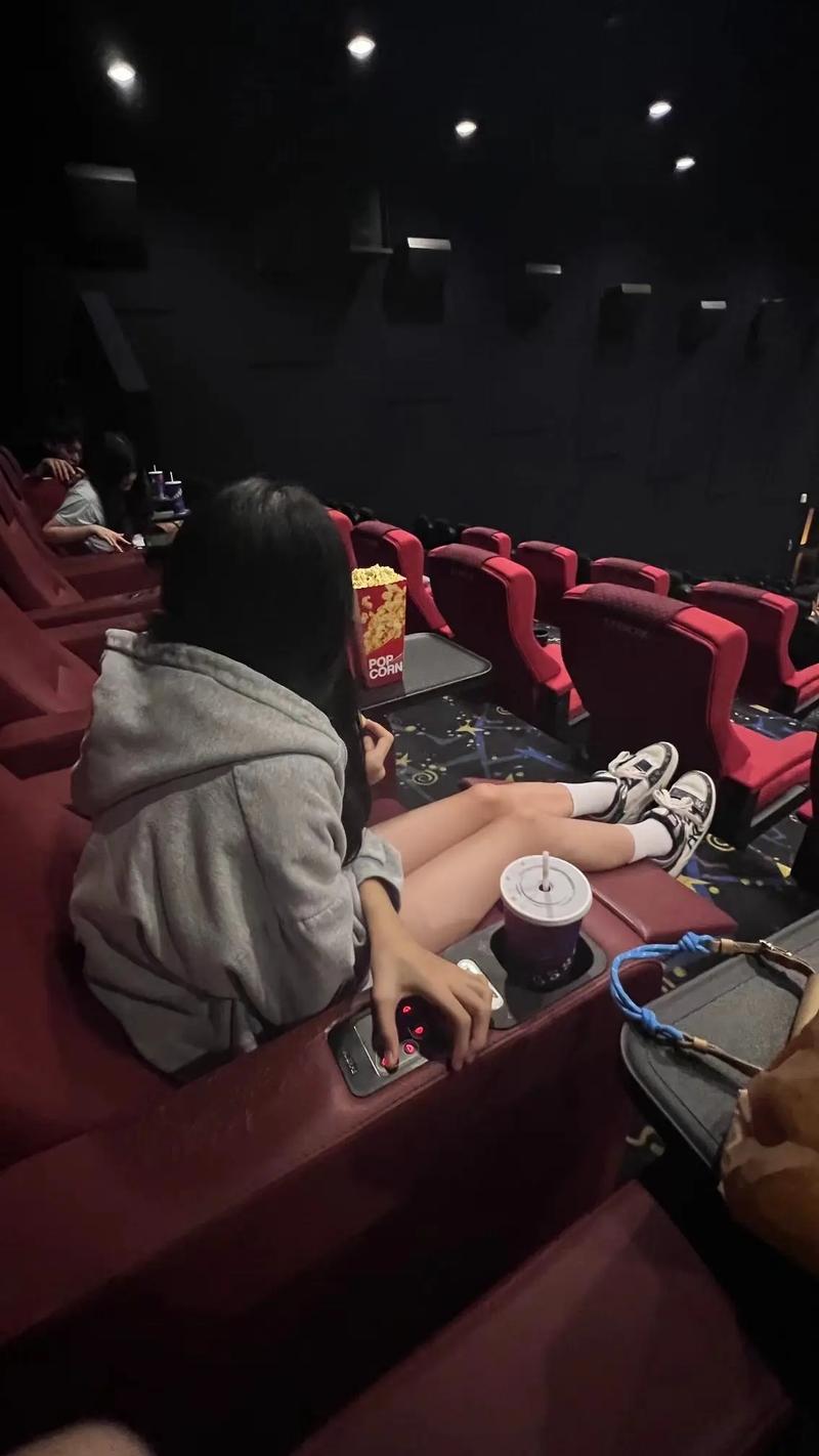 极速影院手机版的相关介绍