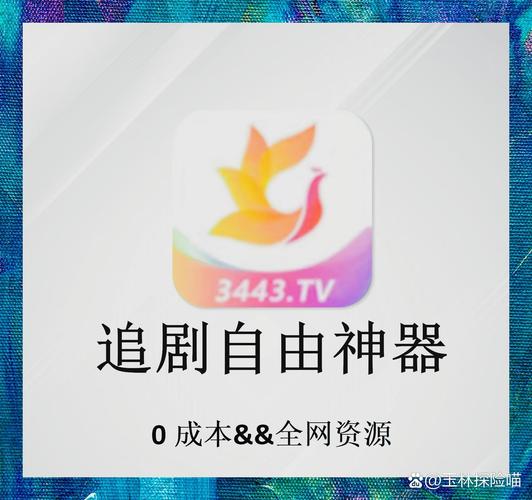 办公室的毛片的相关介绍
