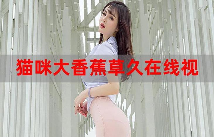 国产一级片干逼的相关介绍
