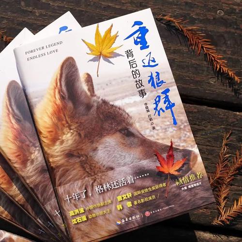 亚洲少妇一区二的相关介绍