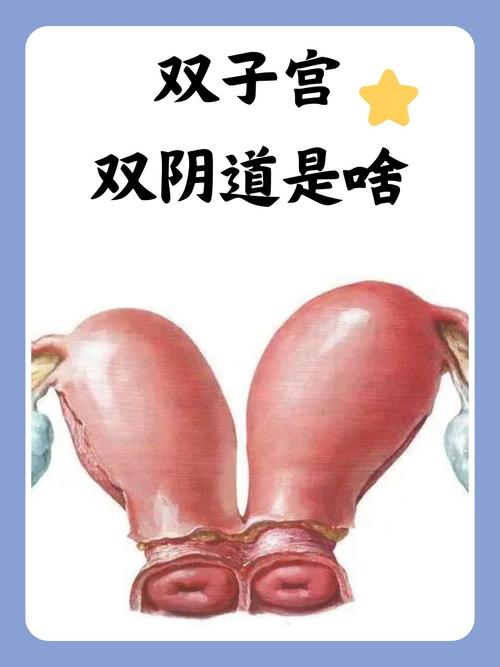 国产高清毛片精品的相关介绍