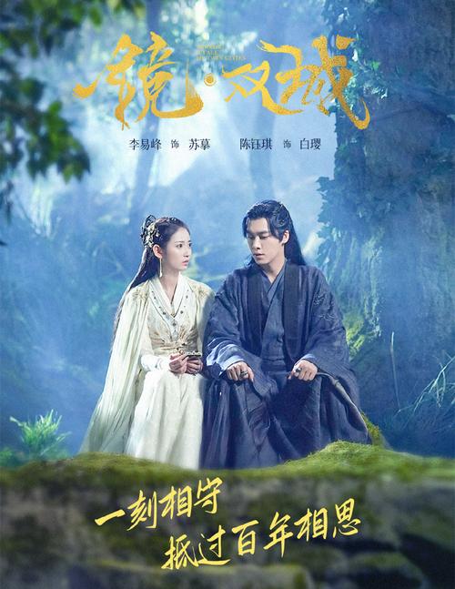 天机影院神马的相关介绍