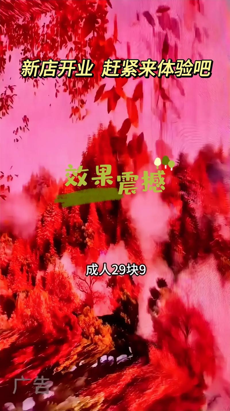 欧美激情免费在线的相关介绍