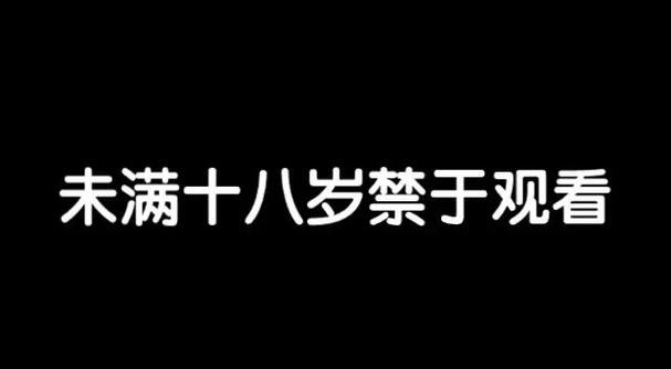 久久日本道色综合久久影院的相关介绍