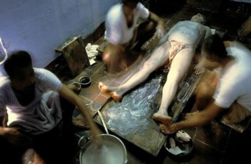 双性受h宫交的相关介绍