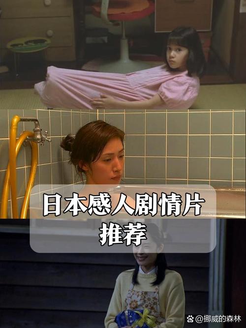 寡妇影院的相关介绍