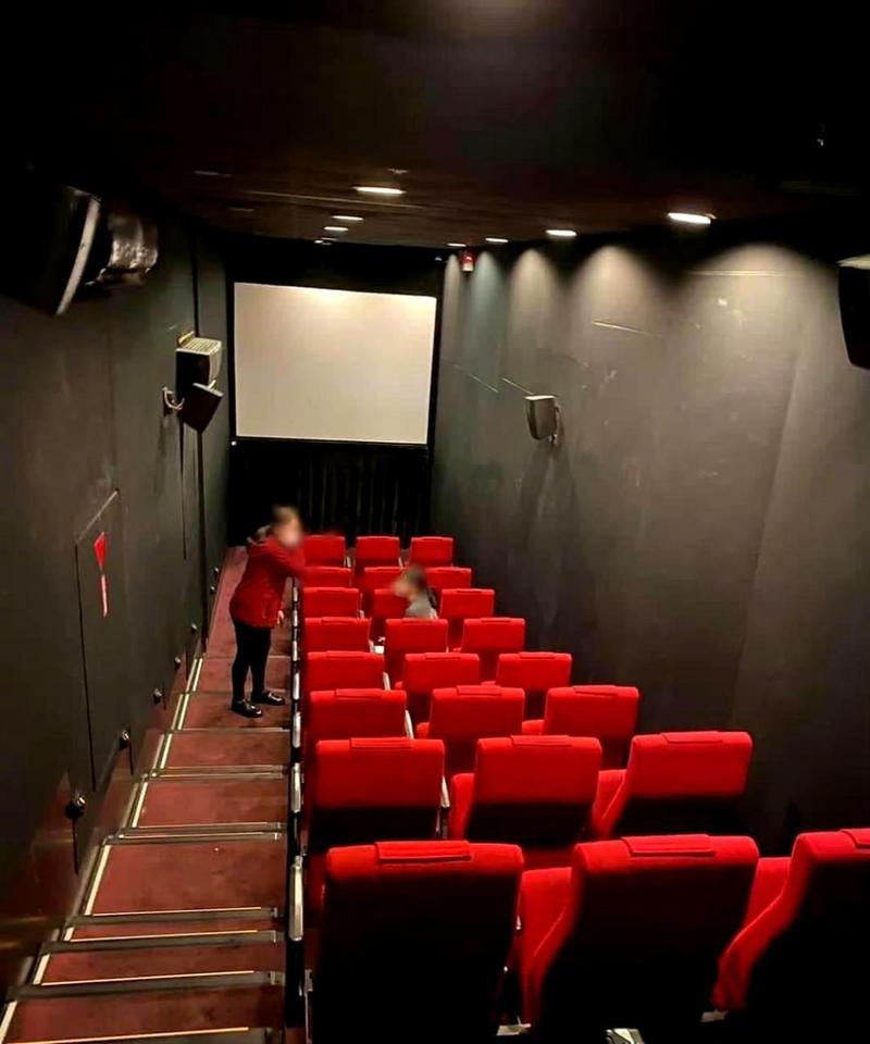 青苹果影院手机版在线播放的相关介绍