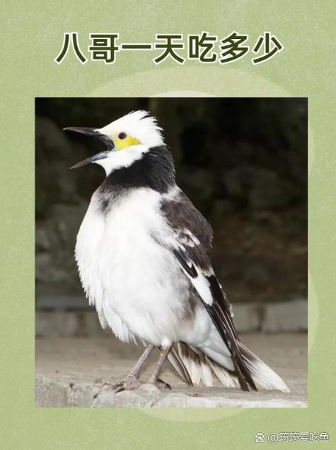 齐乐影院的相关介绍