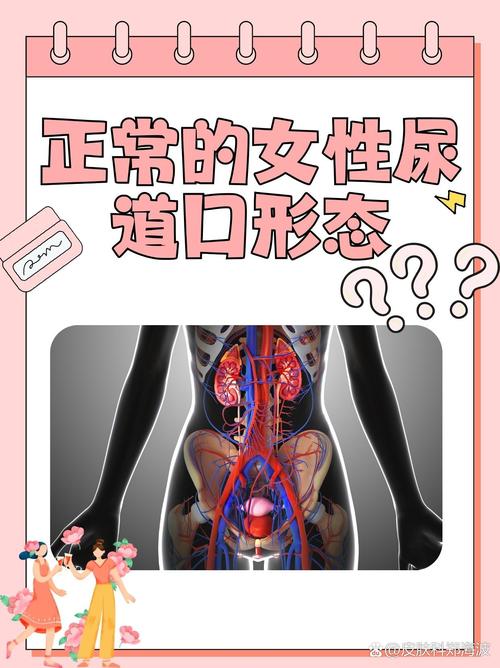 东京热毛片av的相关介绍