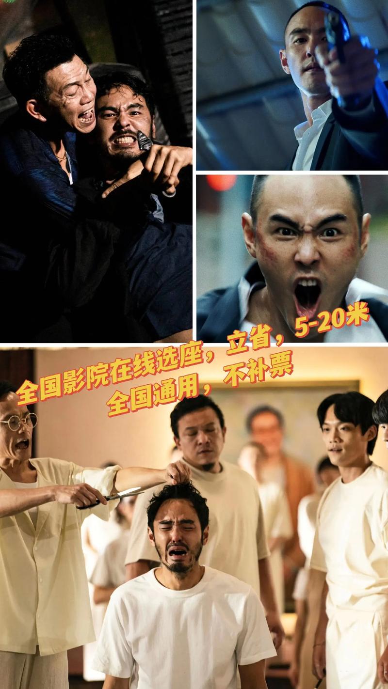 免费看视频app的相关介绍