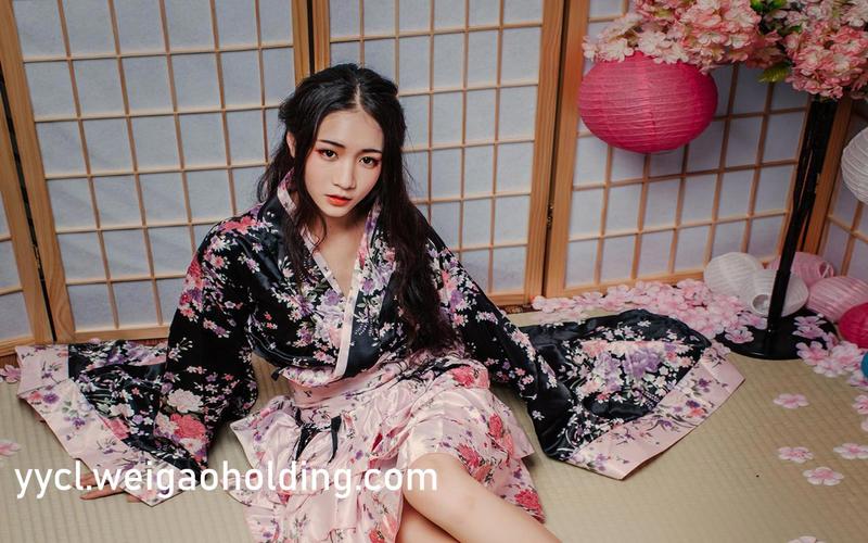 索尼家庭影院的相关介绍