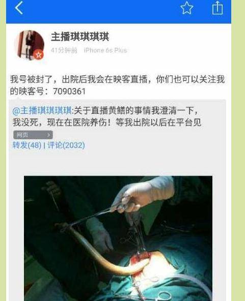 八妻子影院手机影院的相关介绍