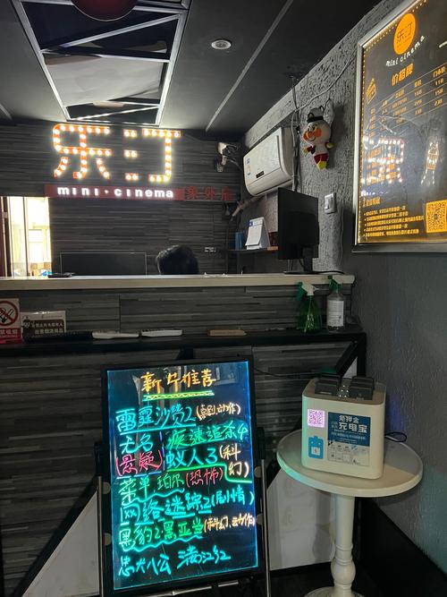 成人极品影院的相关介绍