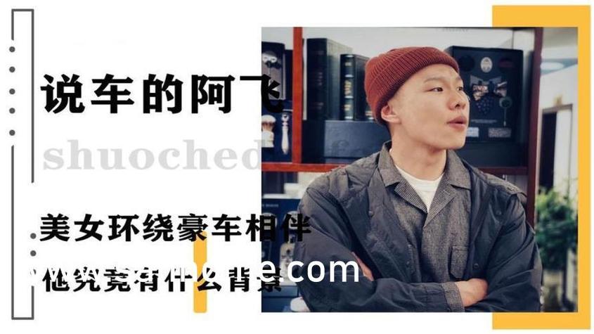 贵妃毛片的相关介绍