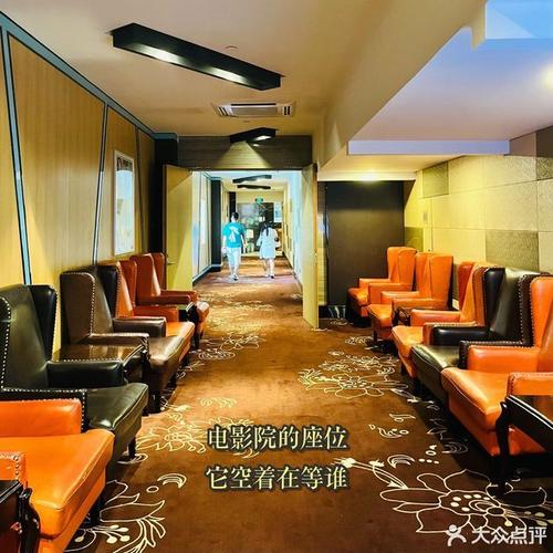 老司机影院体验普通用户的相关介绍