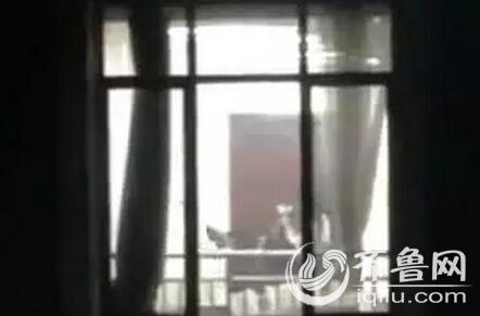 一边摸一边亲免费的相关介绍