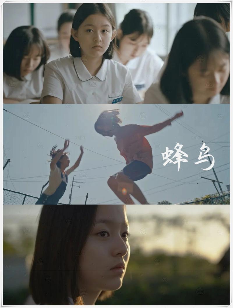 99久久精品毛片的相关介绍