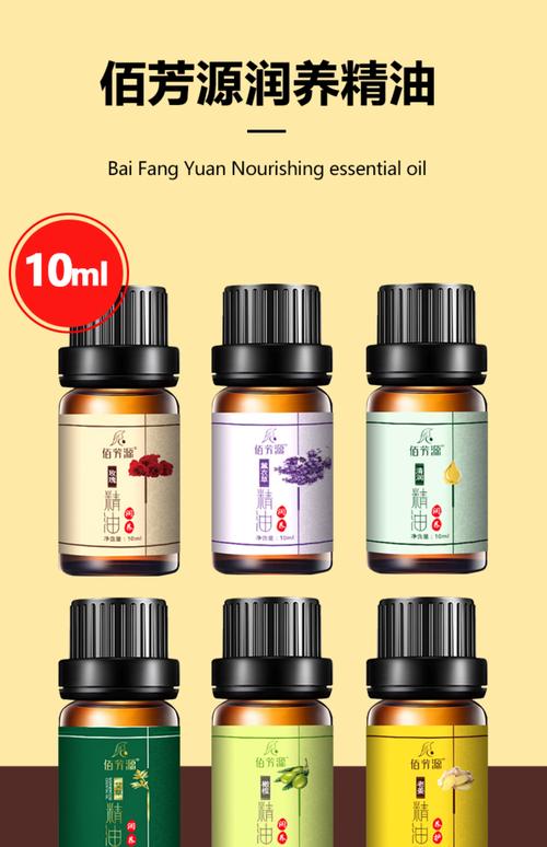 意大利顶级伦理片的相关介绍